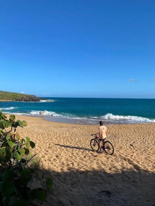 Sunset View Apartment In A Great Location Fajardo Exterior foto