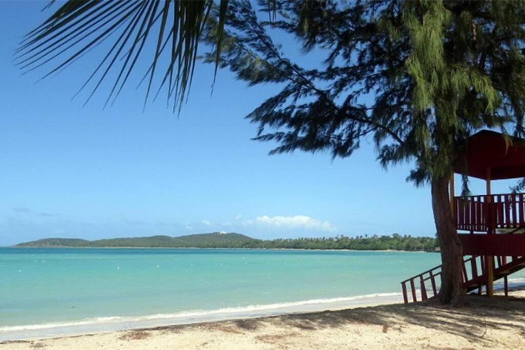 Sunset View Apartment In A Great Location Fajardo Exterior foto